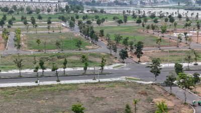 CÂY XANH TUYẾN ĐƯỜNG DỰ ÁN KHU DÂN CƯ SỐ 6