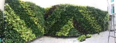 KHÁCH SẠN MƯỜNG THANH LUXURY SÀI GÒN