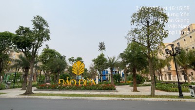 CÔNG VIÊN ZONE 8 - ĐẢO DỪA - VINHOMES OCEAN PARK 2