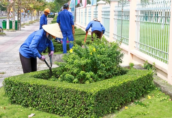 Chăm sóc cây cảnh